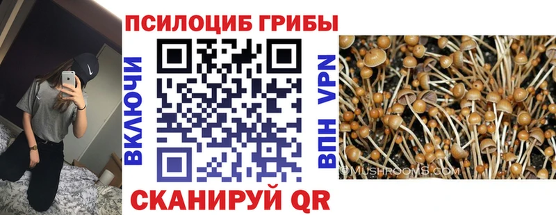 Галлюциногенные грибы мицелий  что такое   Гагарин 