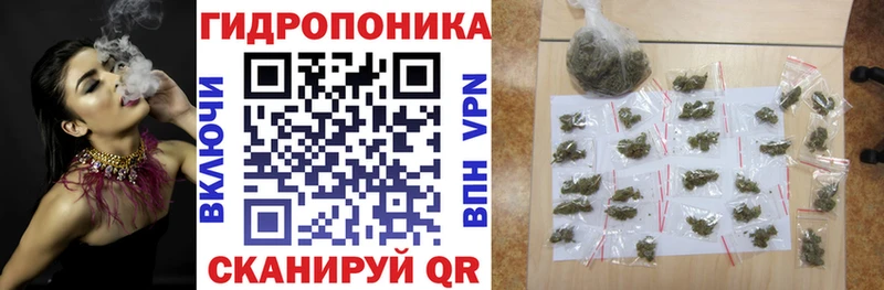 Бошки Шишки индика Гагарин